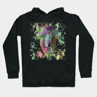 Painted Buffalo Hoodie